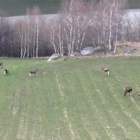 Kvaale Gard Feriegård *