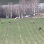 Kvaale Gard Lantgård *